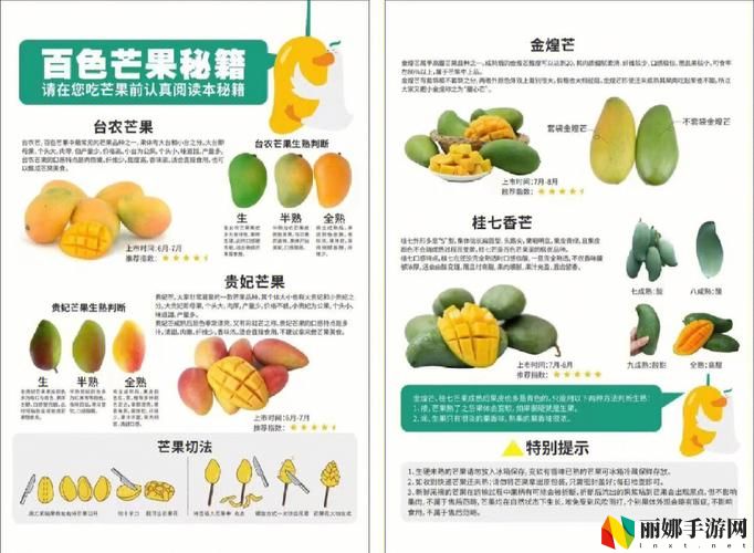  亚va芒果乱码一二三四区别揭秘，网友：这个真的太复杂了！