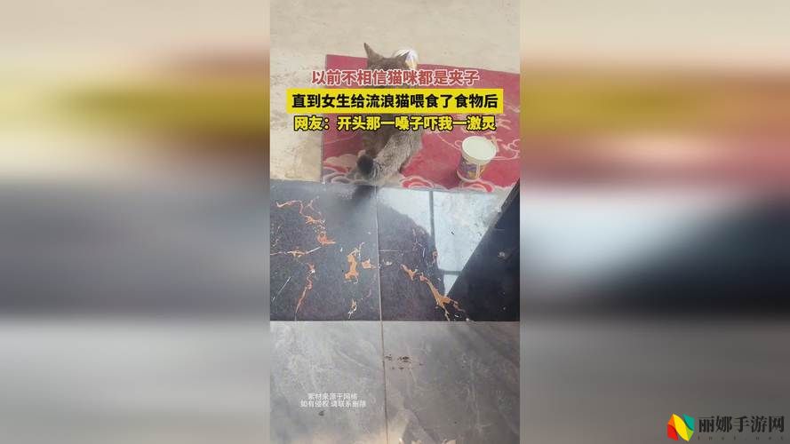 国精产品无人区一码二码三