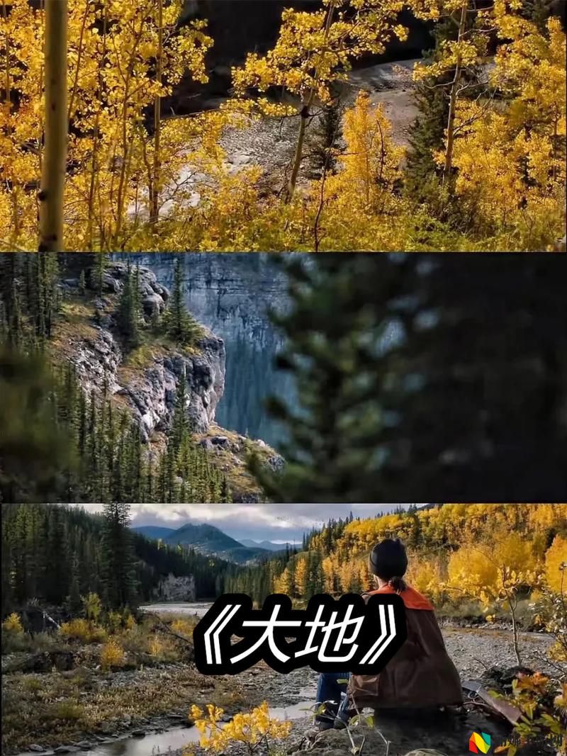 大地资源在线观看免费高清