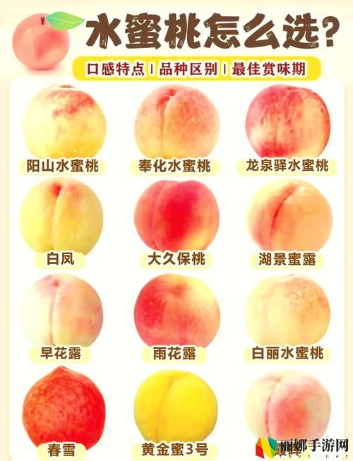 蜜桃国精产品二三三区