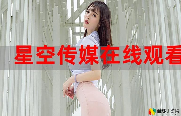 麻花星空无限传媒有限公司
