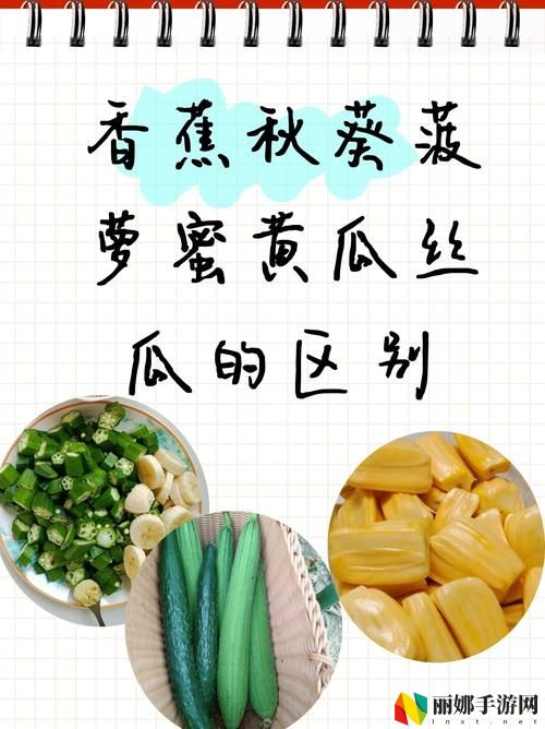 秋葵草莓茄子香蕉丝瓜榴莲18