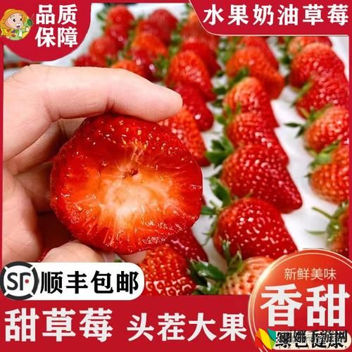 春香草莓和久久草莓的区别