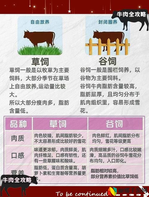 老牛嫩草与精二的区别