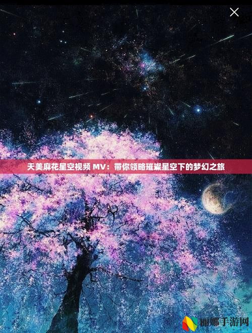 天美麻花星空高清MV播放音乐