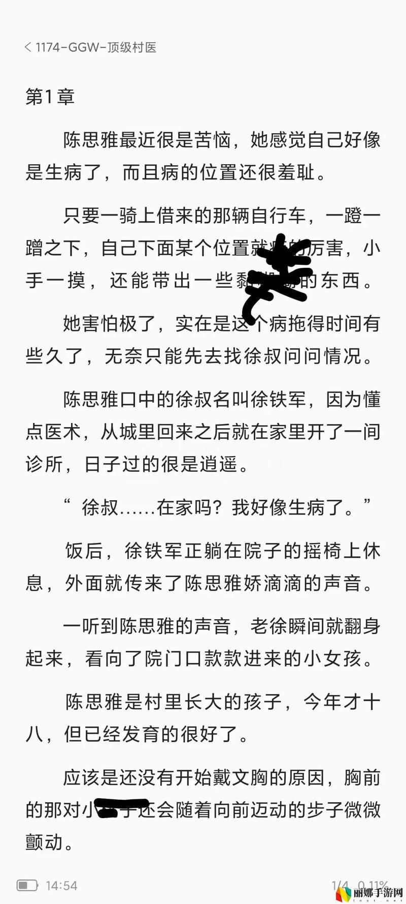 村医王叔和小丽的小说