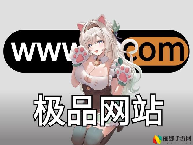 成品动漫网站入口网页版