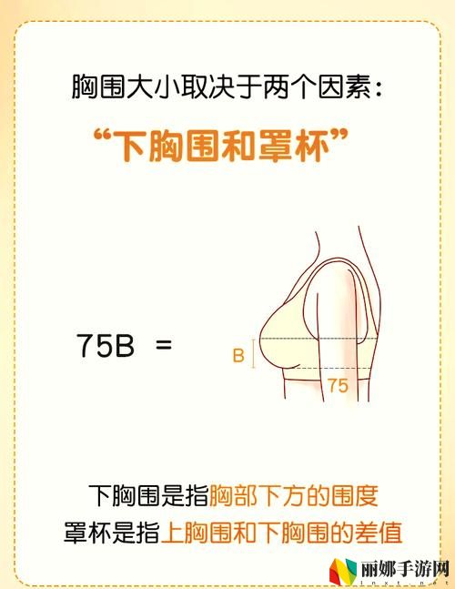 B大与小哪个好