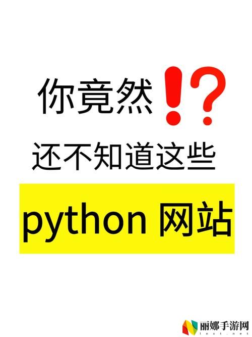 成品网站python