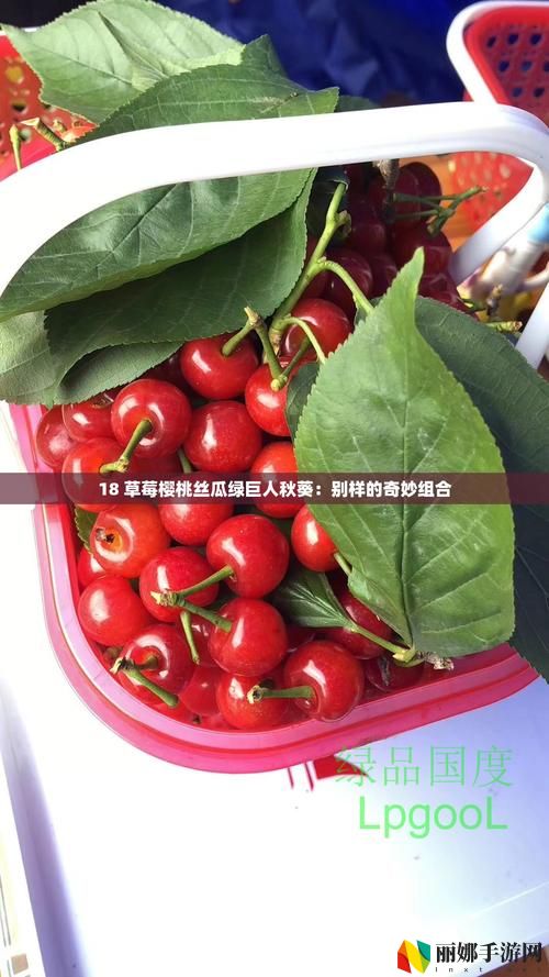 草莓樱桃丝瓜绿巨人秋葵大全