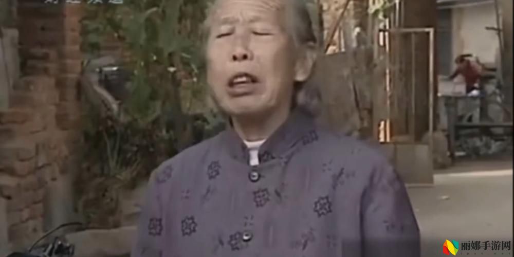 阿 老 妇 乱 的视频
