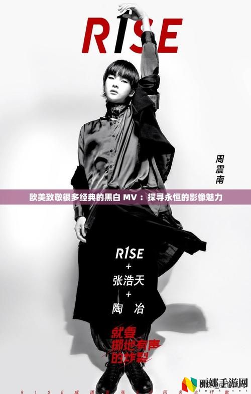 欧美致敬很多经典的黑白mv