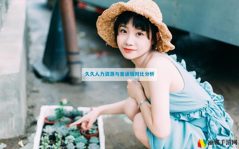 久久人力资源与普通版对比