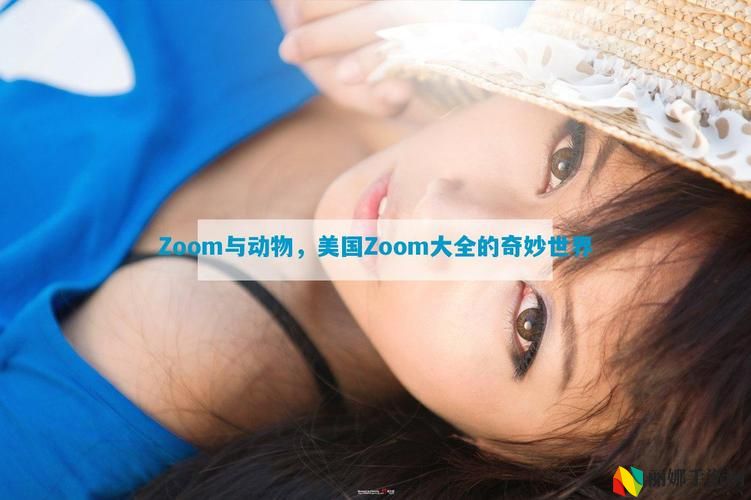 ZOOM与动物ZOOM大全美国