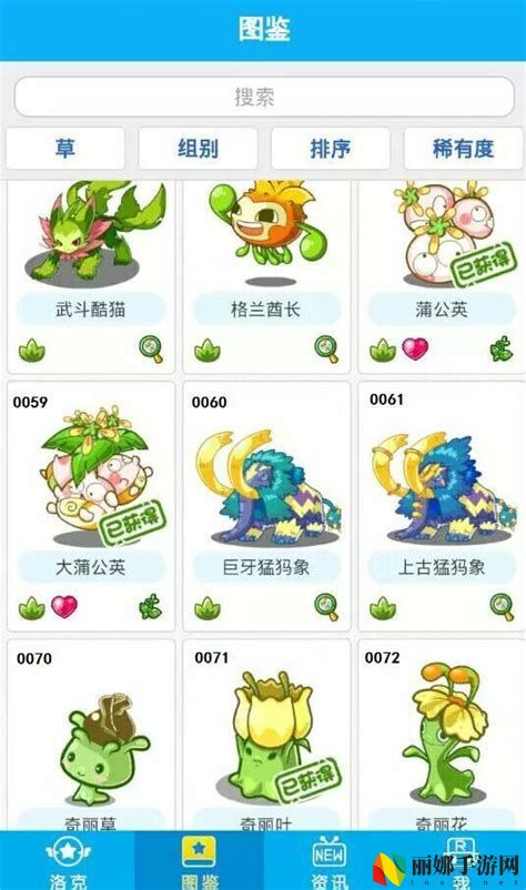 洛克王国时间段宠物