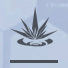 尘白禁区妮塔悸响技能介绍
