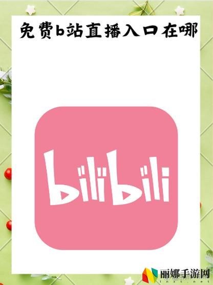 国际b站免费直接入口