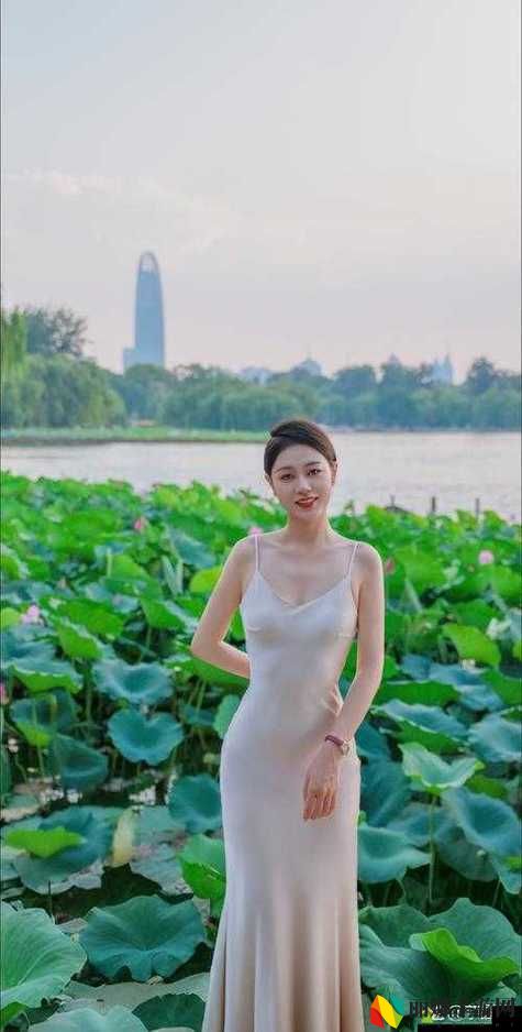 四川少妇BBBB槡BBBB槡