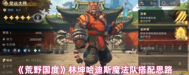荒野国度林坤哈迪斯魔法队搭配思路
