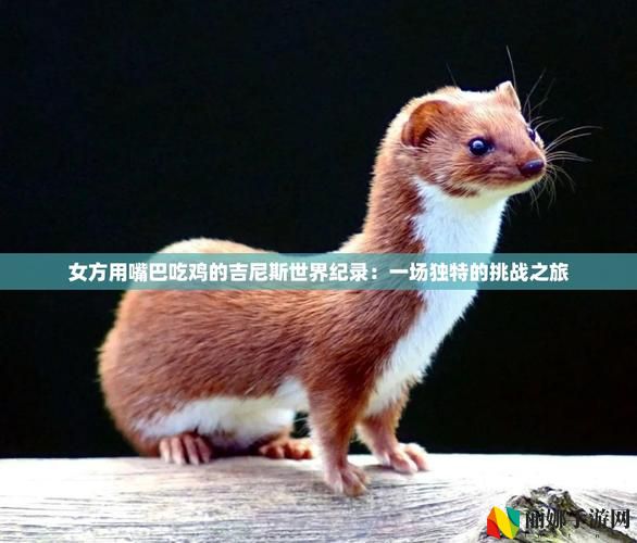 女方用嘴巴吃鸡的吉尼斯世界纪录