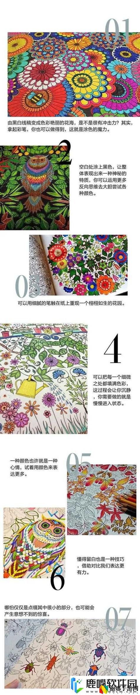 大手往哪秘密花园探去