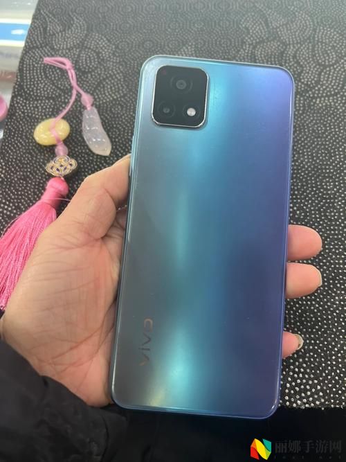 成色好的y31s标准版红蝎子