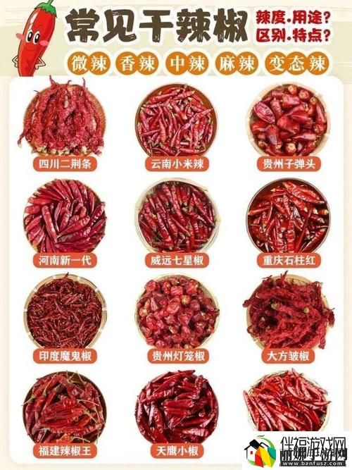 成品大香伊煮和小辣椒在哪些方面