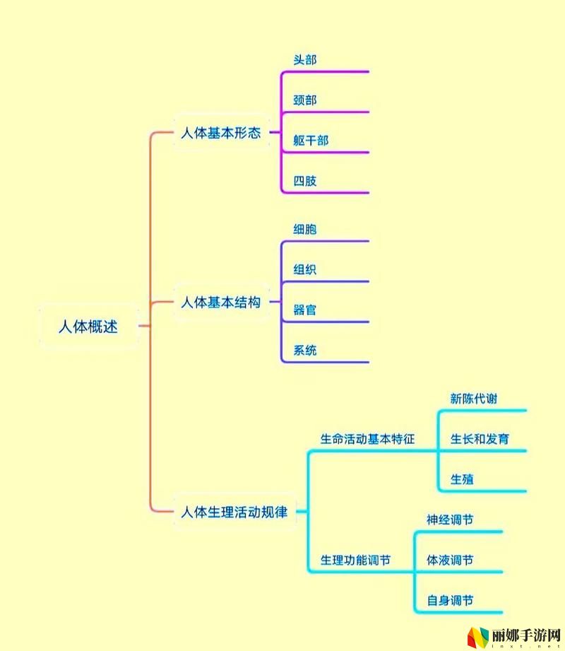 成品人与精品人的思维导图