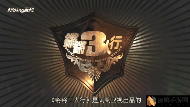 铿铿锵锵视频免费观看
