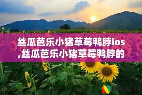 丝瓜芭乐小猪草莓鸭脖ios
