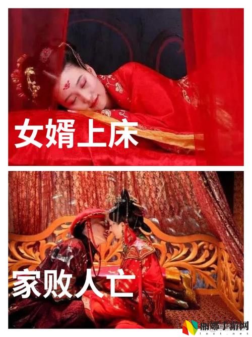 女婿变老公还和女儿很和谐