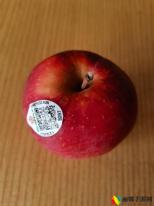 国产成品入入入入口苹果