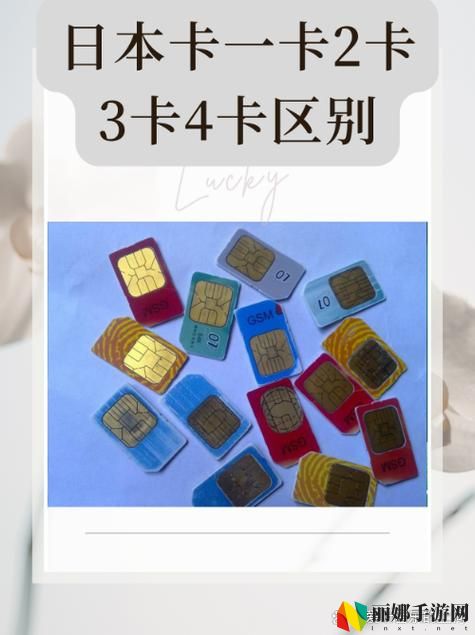 精品一卡二卡三卡四卡站