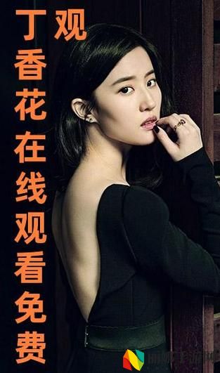 丁香花影院免费观看电视剧哈尔滨