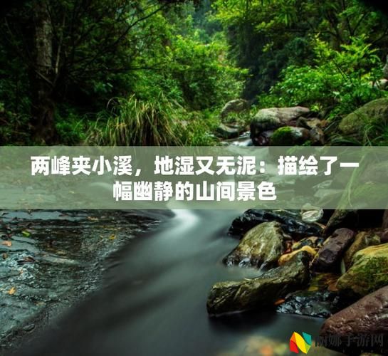 两峰夹小溪地湿又无泥的注意事项