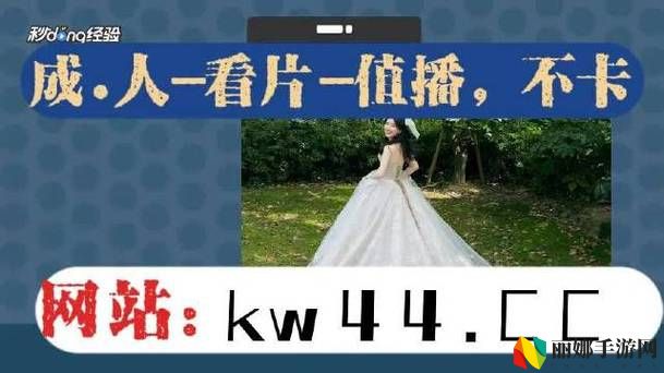 9播松西致9黄点豆看码p幺