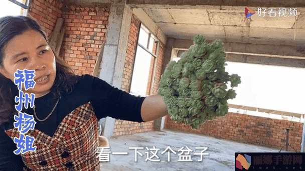 大肉大捧一进一出视频