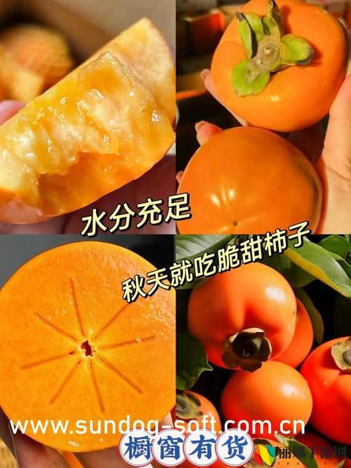 JAVAPARSER乱偷