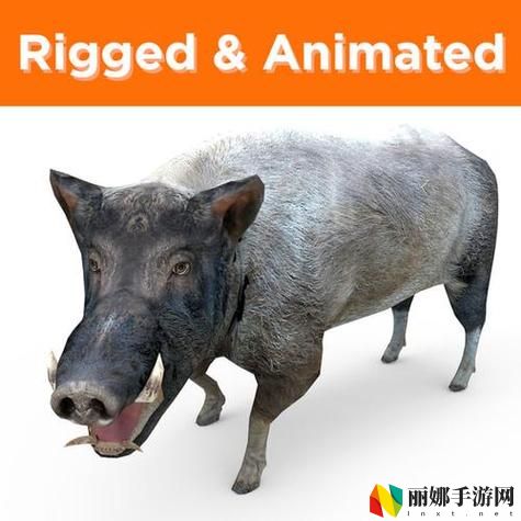 ZOOM与动物ZOOM大全美国