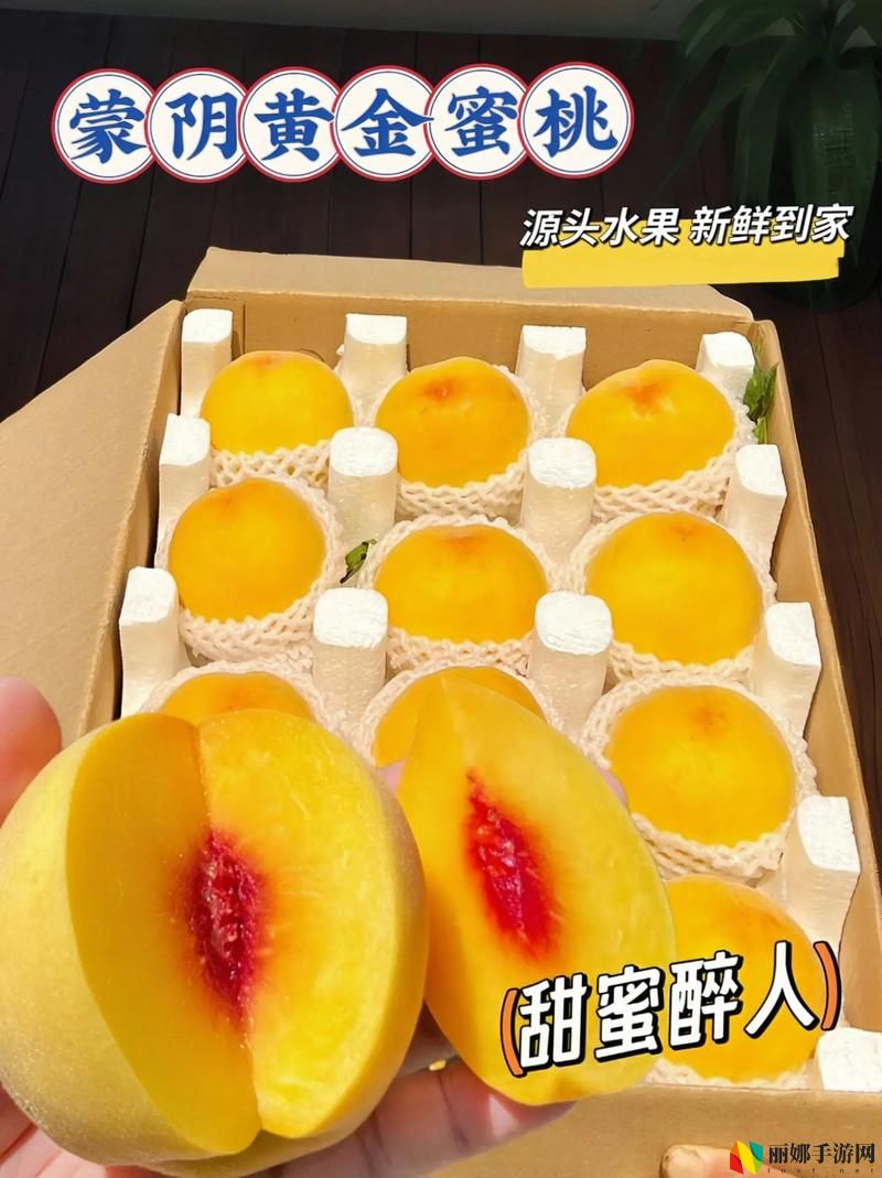蜜桃国精产品二三三区