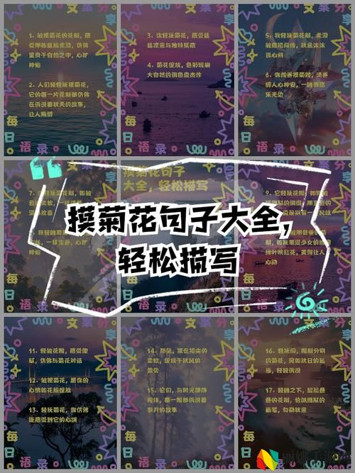 一摸下添下一摸下句怎么接