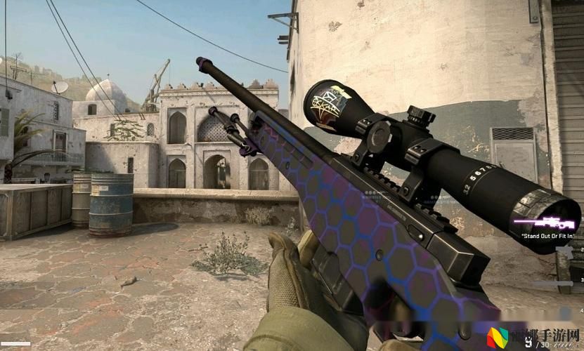 日本CSGO大姐姐AWP