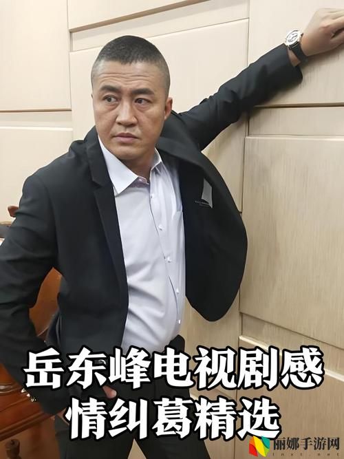 女婿有劲枪枪到底岳峰扮演者