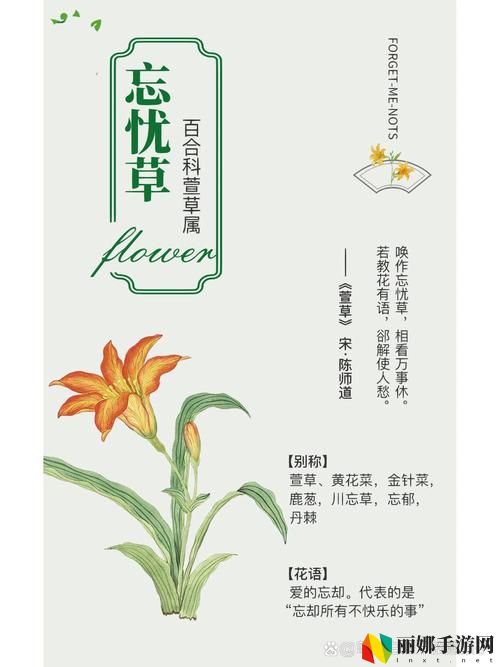 无人区乱码一线二线忘忧草