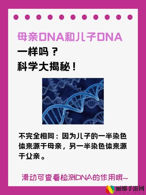 母亲dna和儿子dna一样不