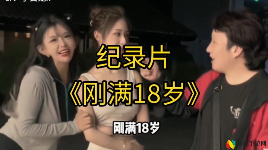 已满18岁免费观看高清电视剧