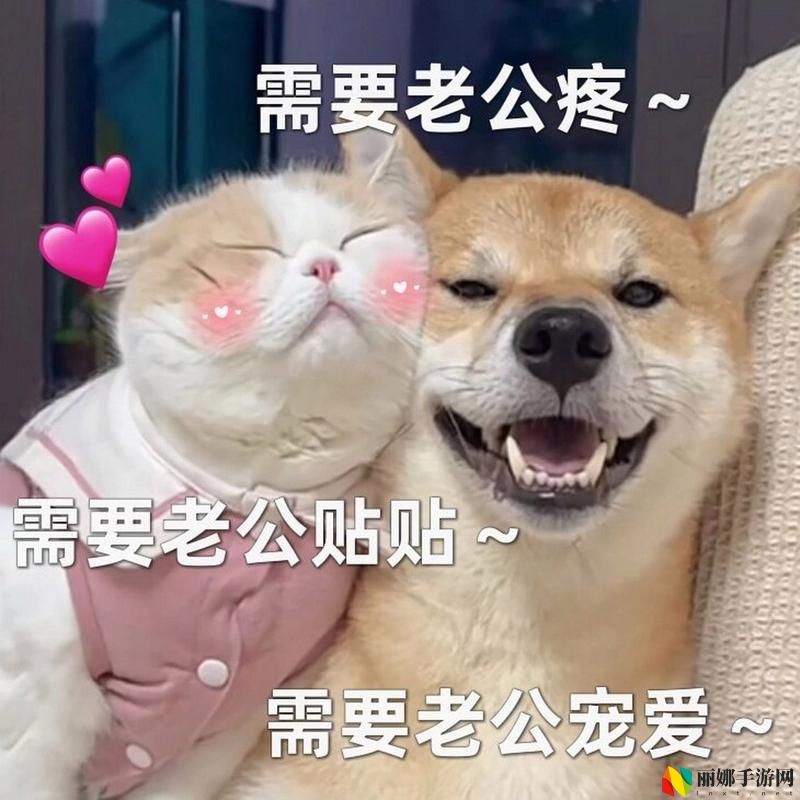 老公拿狗给我配