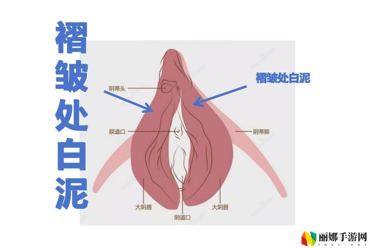 白人荫道BBWBBB大荫道
