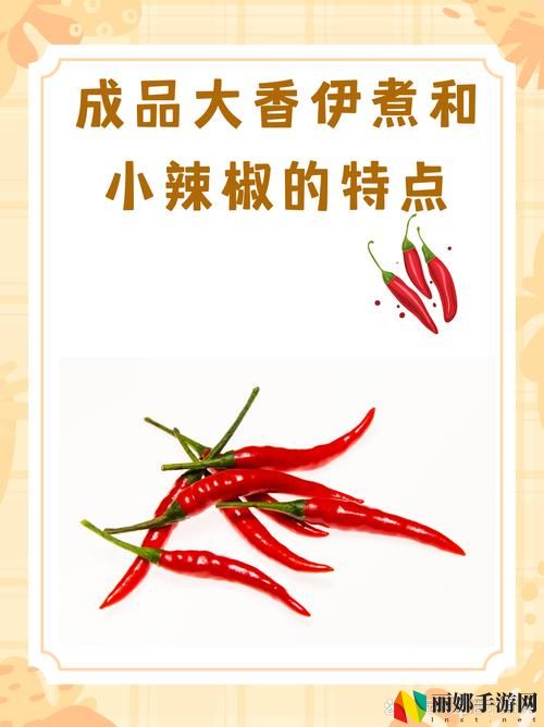 成品大香伊煮和小辣椒在哪些方面
