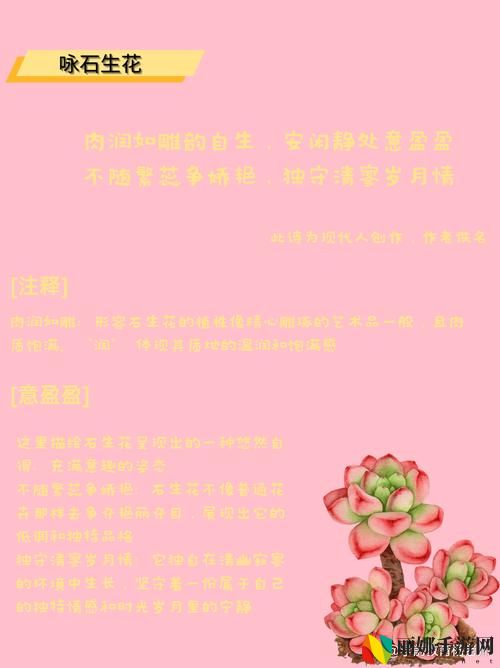 古文多肉1对N